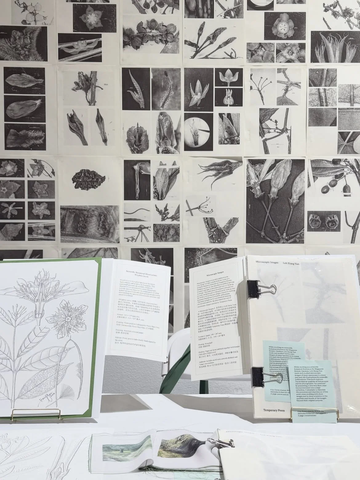 Loh Xiang Yun | Discover and Engage Now